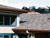 gallery-shingle-13